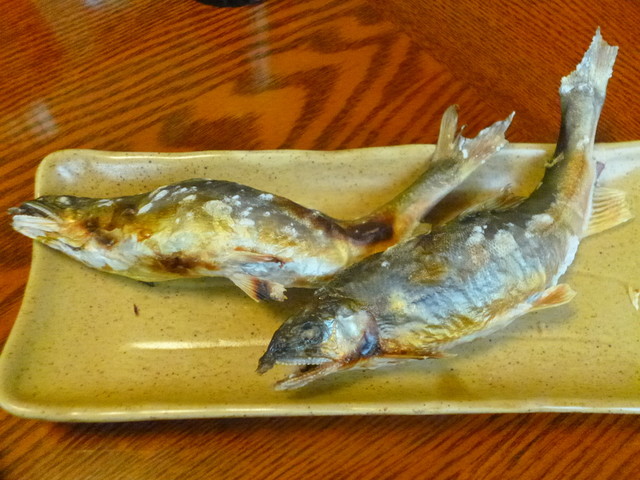 川鱼料理 きぶね - 鮎