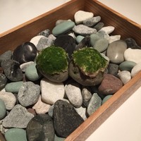 ルカンケ - 