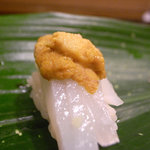 吉冨寿し - 烏賊うに