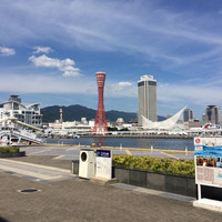 THE KOBECRUISE コンチェルト - 