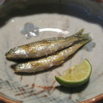 光安 - 子持ちモロコの炭火焼