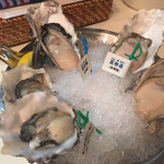 Oyster Bar ジャックポット - 