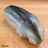 貴乃 - 小鰭