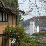 帆雨亭 - もうすぐ、桜が開きますよ。