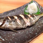 旬菜鮪處 英 - タカベの塩焼き