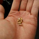 サントリー 天然水のビール工場 東京・武蔵野ブルワリー - 