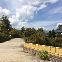 柳家 - 外の風景