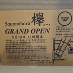 Sagamihara 欅 - 