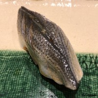 寿司割烹 魚紋 - 小鰭