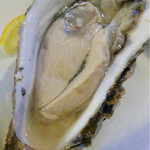 ビストロ ティアボ - 