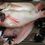 海星ムサシ - 料理写真:のどぐろ開き、大粒シジミ