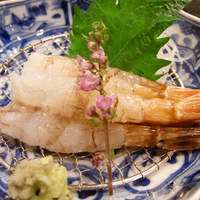 浜長 - 石川の味、がす海老。