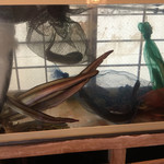 東 - 本日の生簀は ハモ