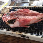 小田原さかなセンター - 