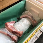 小田原さかなセンター - 