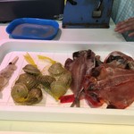 小田原さかなセンター - 