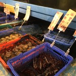 小田原さかなセンター - 