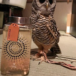 Triple　Bogey - ヨクイニン