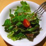 ウッデンシップ - 【サラダ】2011/4