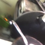 ピッザピッザピッザ - 