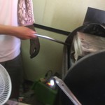 ピッザピッザピッザ - 