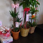 台湾料理 風味楼 - 