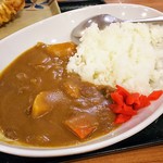 Hanamaru Udon - カレーセット わかめうどん580円 げそ天160円