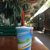 Kuranda Railway Tea Rooms - ドリンク写真:Milkshakes（vanilla chai）$5.50