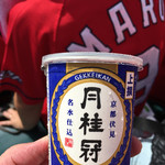 阪神甲子園球場 - 