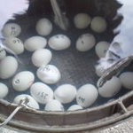 グランディア芳泉 - 