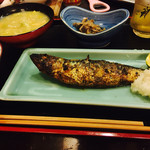 蕗のとう - 
