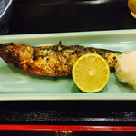 蕗のとう - 
