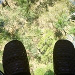 Kuranda Railway Tea Rooms - 足元がガラス板のダイヤモンドビュー・ゴンドラですｗ