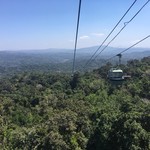 Kuranda Railway Tea Rooms - 広大な熱帯雨林