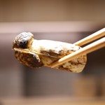 豪龍久保 - 立派な松茸！