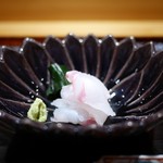 豪龍久保 - 造里　淡路の鯛(永楽保全)