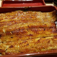 赤坂ふきぬき - 鰻重　松　
