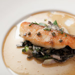 カンティーナ・アルバロンガ - 