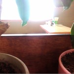 レストラン　大三 - 小上がり（逆光）