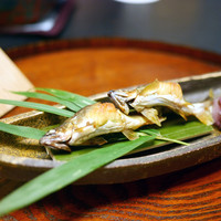 山玄茶 - 子持ち鮎の生姜醤油焼き