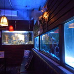 BLUE FISH AQUARIUM - 内観