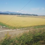 とんかつ 井泉 - 