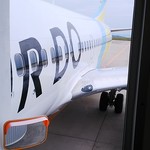 とんかつ 井泉 - 