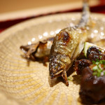 銀座 しのはら - 琵琶湖産鮎