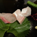 菊水鮓 - 天然ツバス，天然ヒラマサ，天然カンパチ