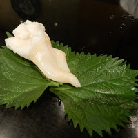 菊水鮓 西店 - 白トリガイ