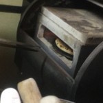 ピッザピッザピッザ - 