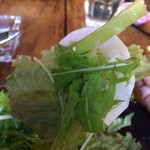 ストーブス - サラダリフト