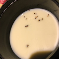 宇田川 紫扇 - 