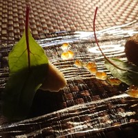 ボーン グランデ アリア - 